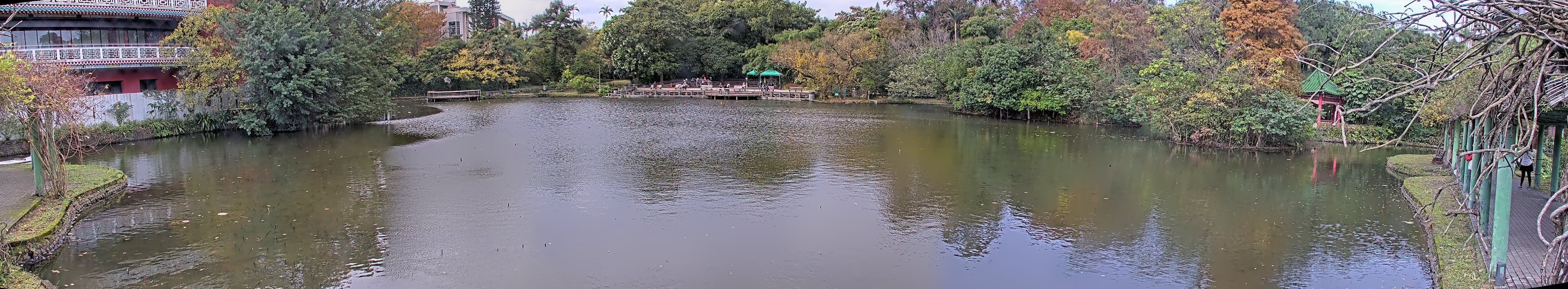 拍照日期:2023-01-01 時間:10時