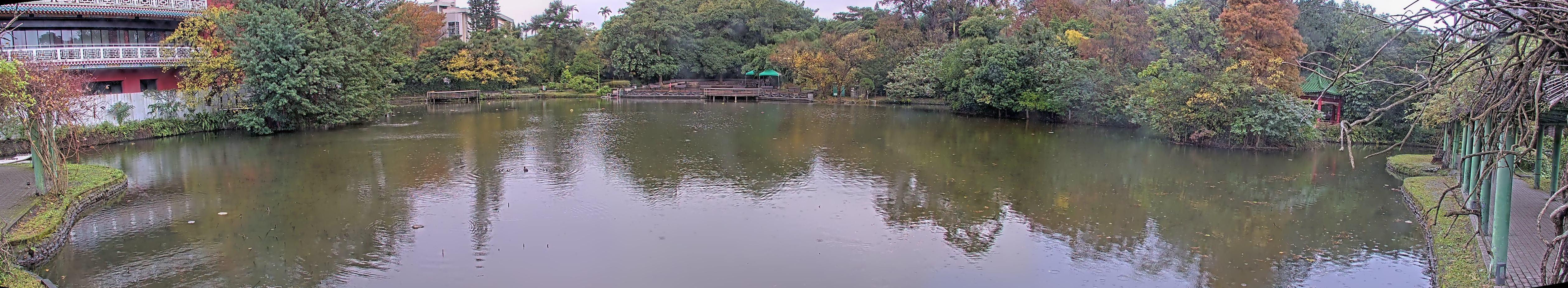 拍照日期:2023-01-02 時間:8時