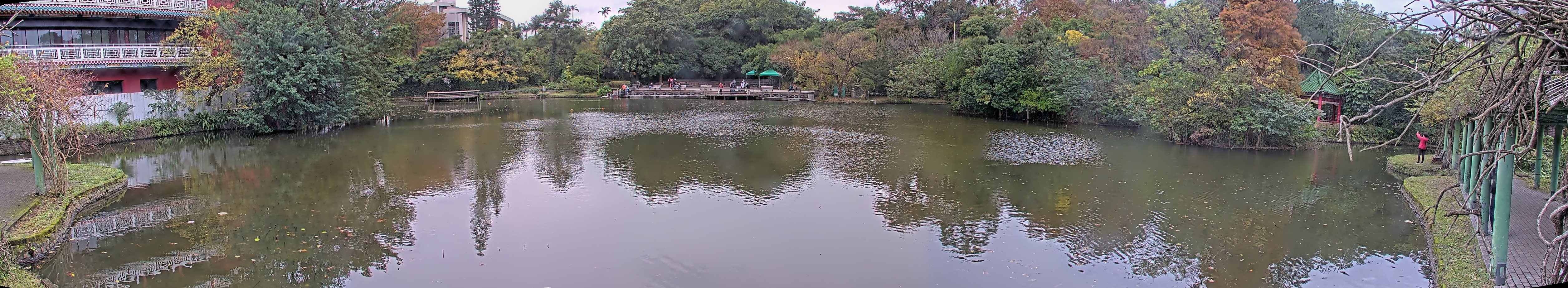 拍照日期:2023-01-02 時間:13時