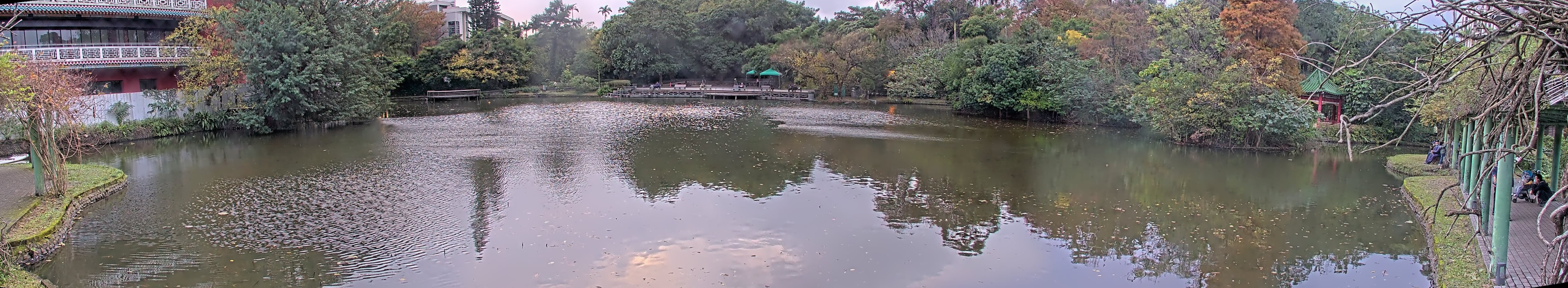 拍照日期:2023-01-02 時間:16時