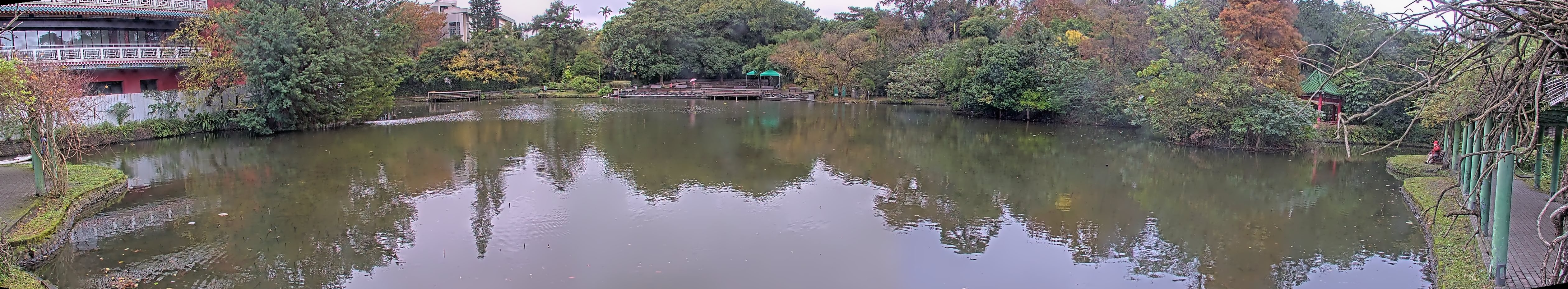 拍照日期:2023-01-03 時間:7時