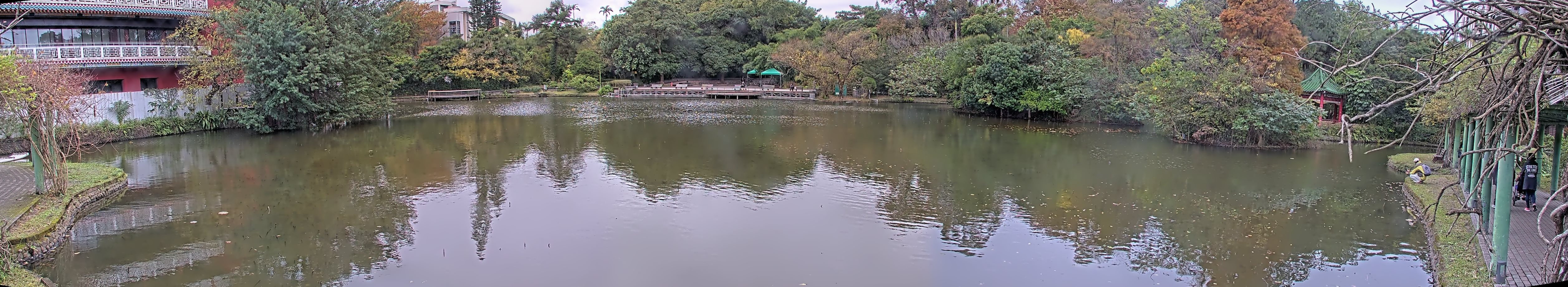 拍照日期:2023-01-03 時間:13時