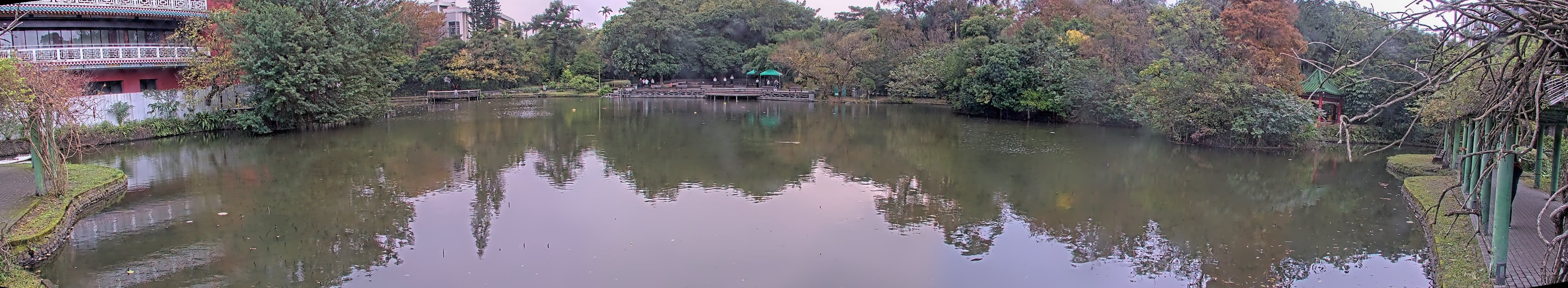 拍照日期:2023-01-04 時間:6時