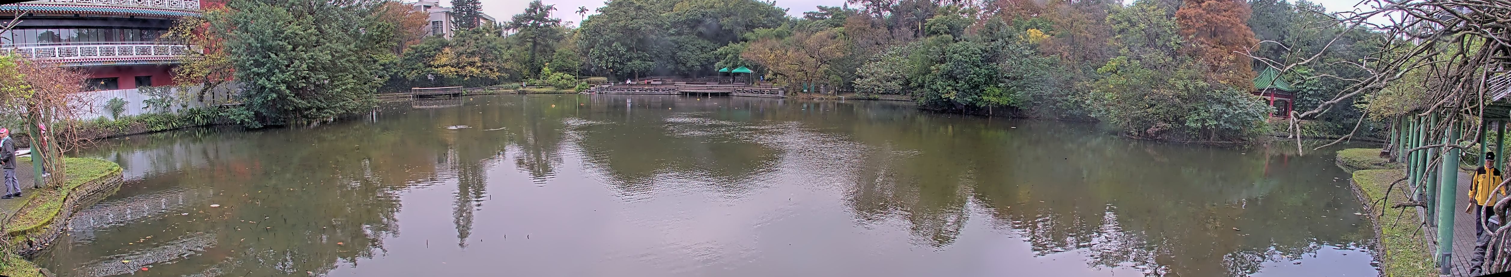 拍照日期:2023-01-04 時間:7時