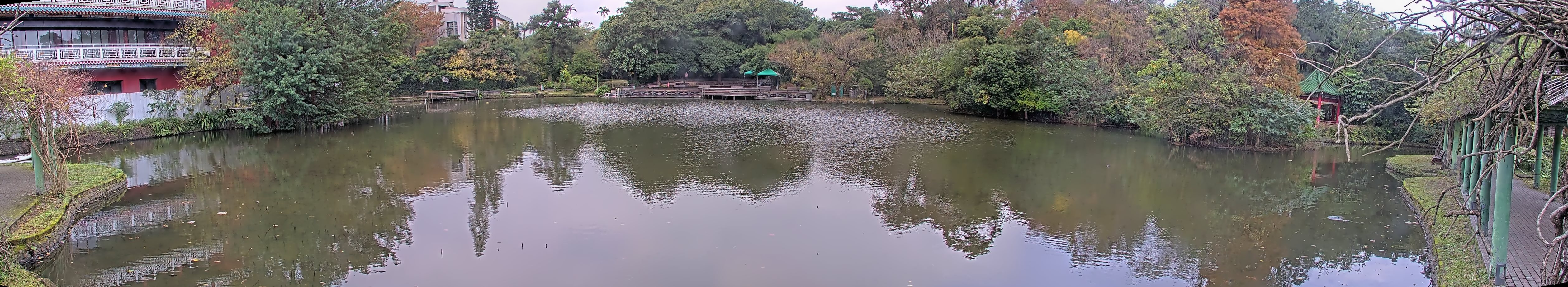 拍照日期:2023-01-04 時間:8時