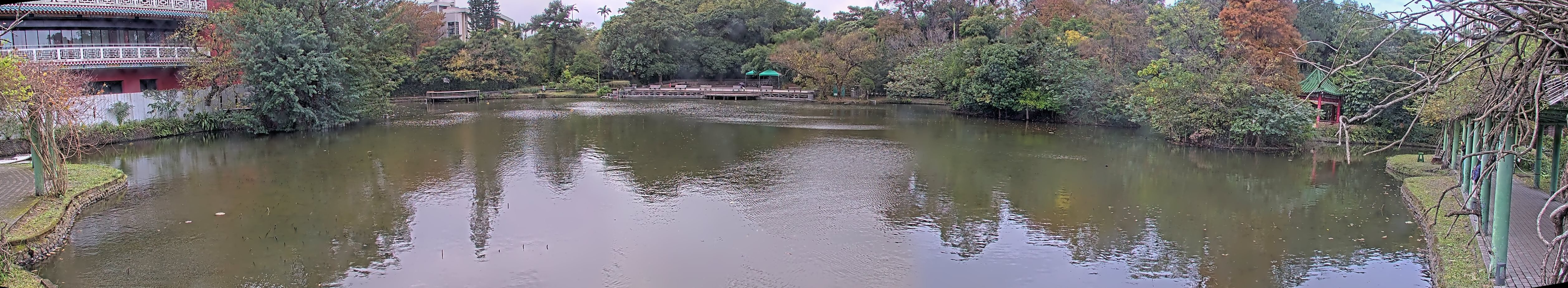拍照日期:2023-01-04 時間:13時