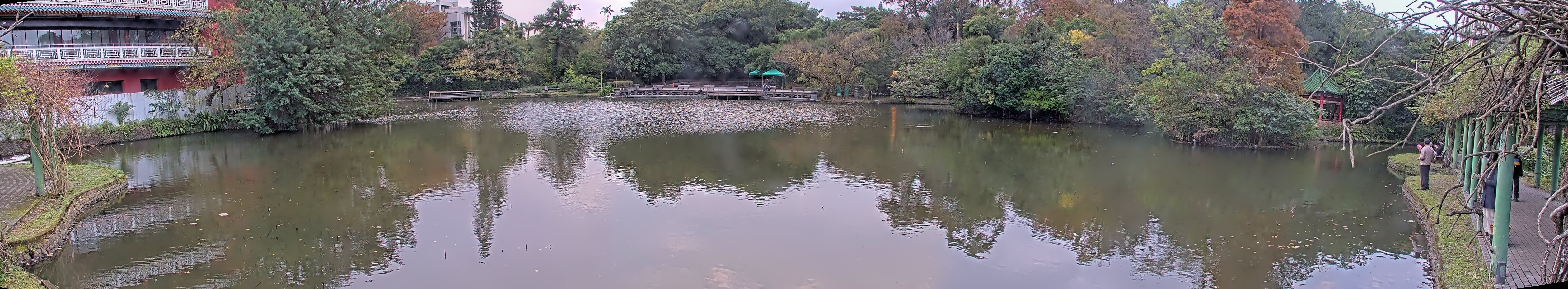 拍照日期:2023-01-04 時間:16時