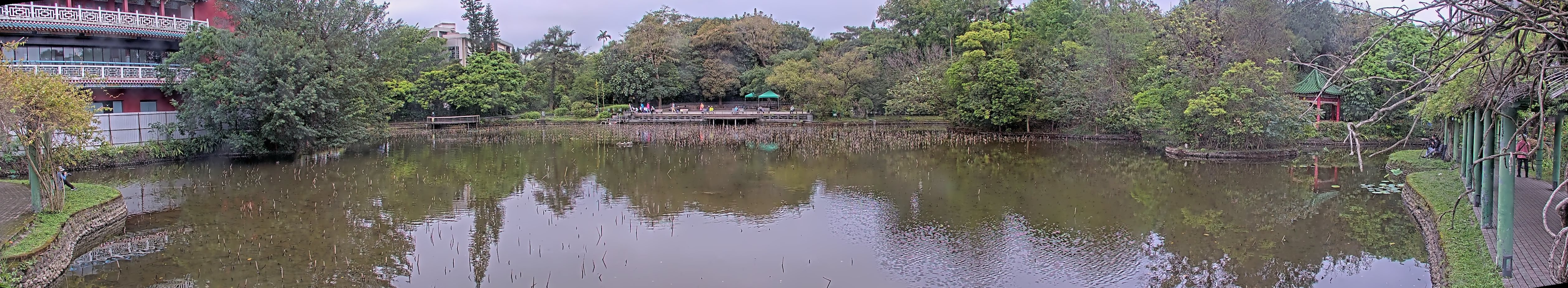 拍照日期:2023-03-31 時間:10時