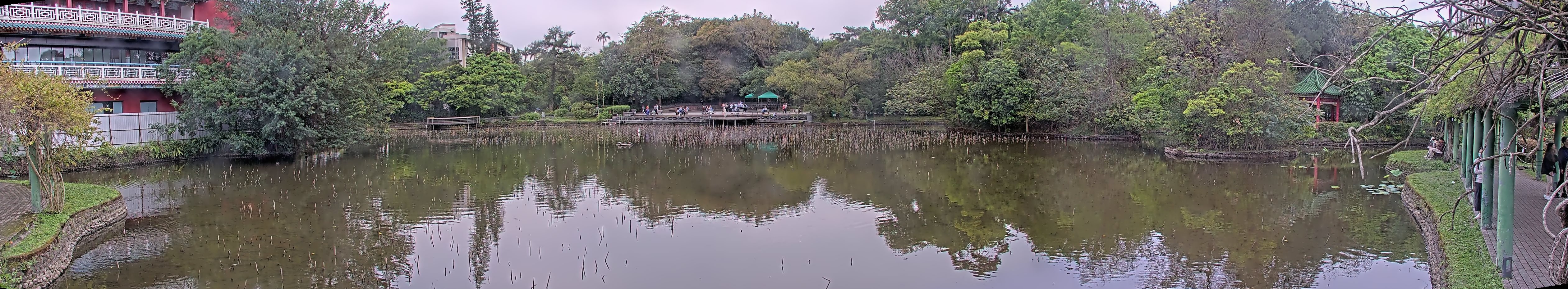 拍照日期:2023-03-31 時間:12時