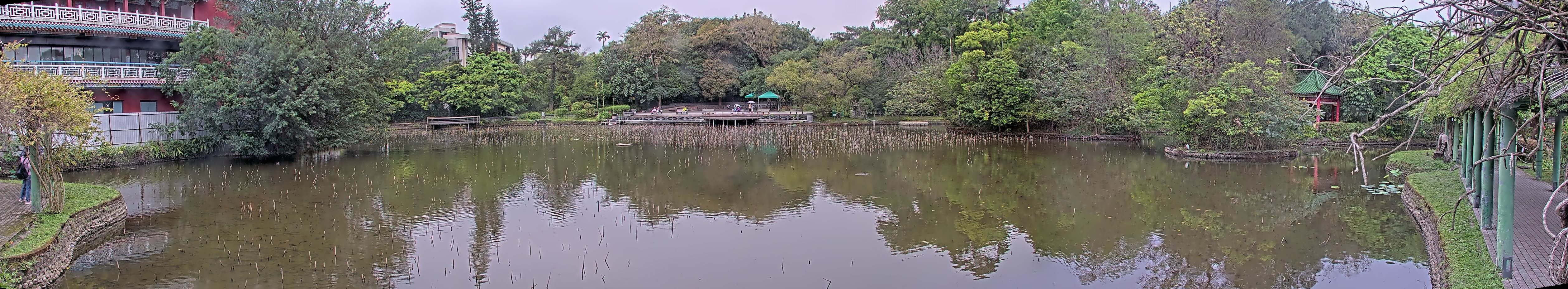拍照日期:2023-03-31 時間:15時