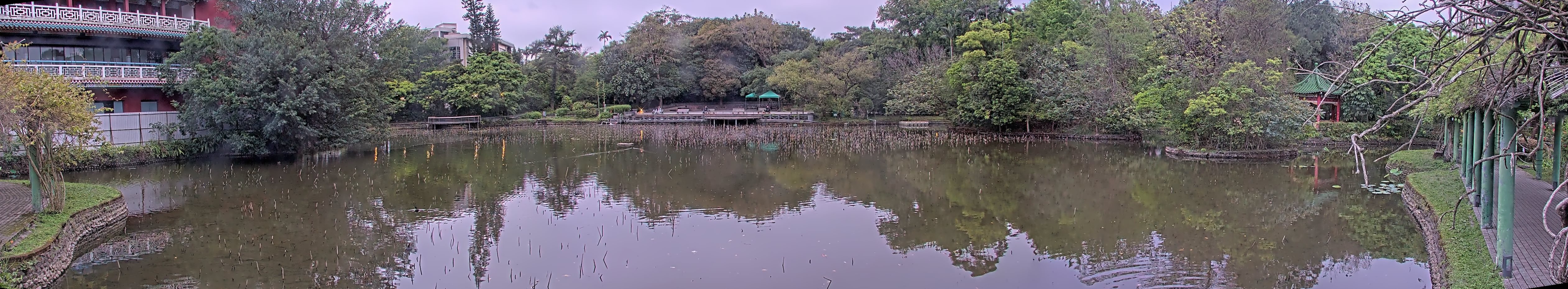 拍照日期:2023-03-31 時間:17時
