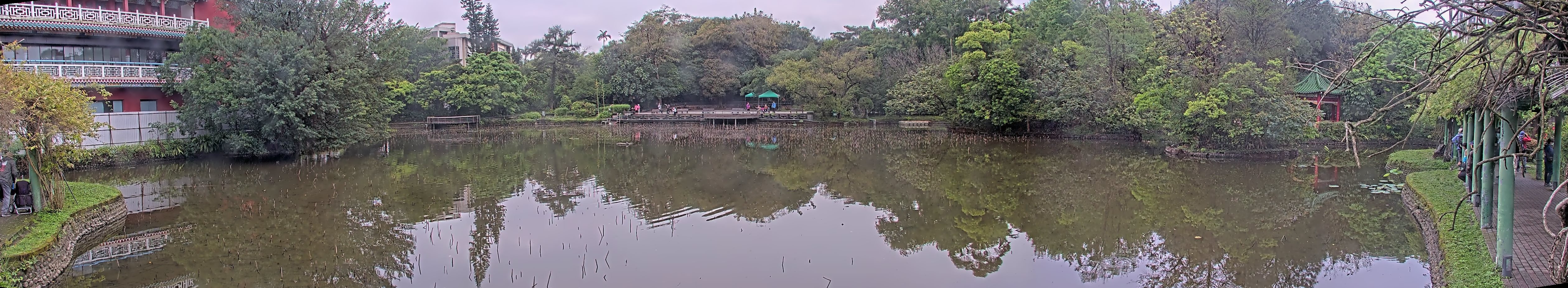 拍照日期:2023-04-02 時間:7時