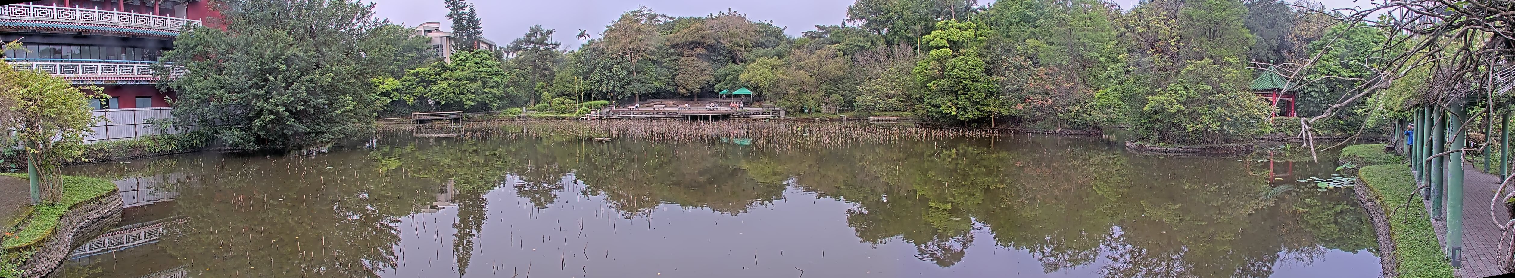 拍照日期:2023-04-06 時間:7時