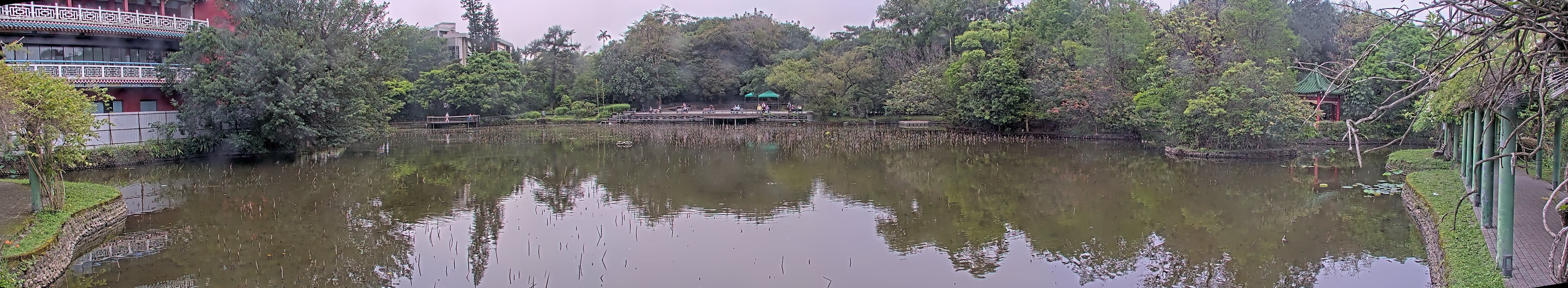 拍照日期:2023-04-06 時間:10時