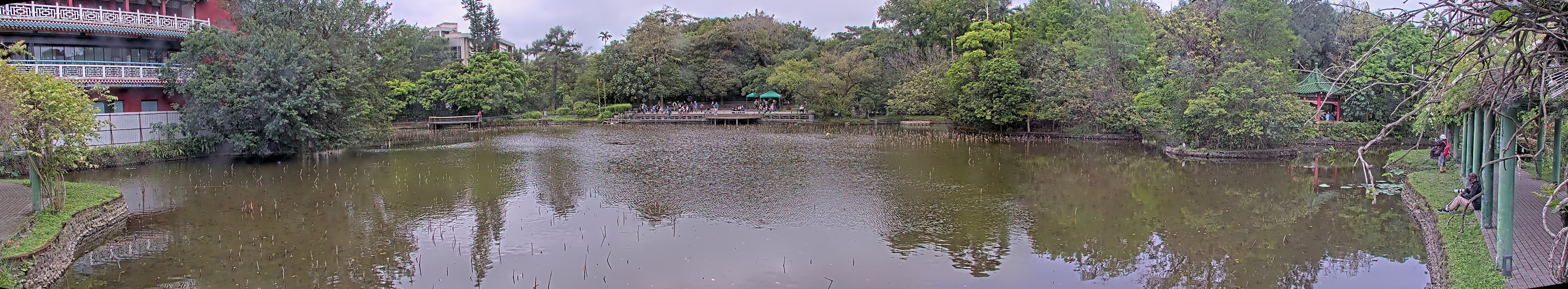 拍照日期:2023-04-09 時間:10時