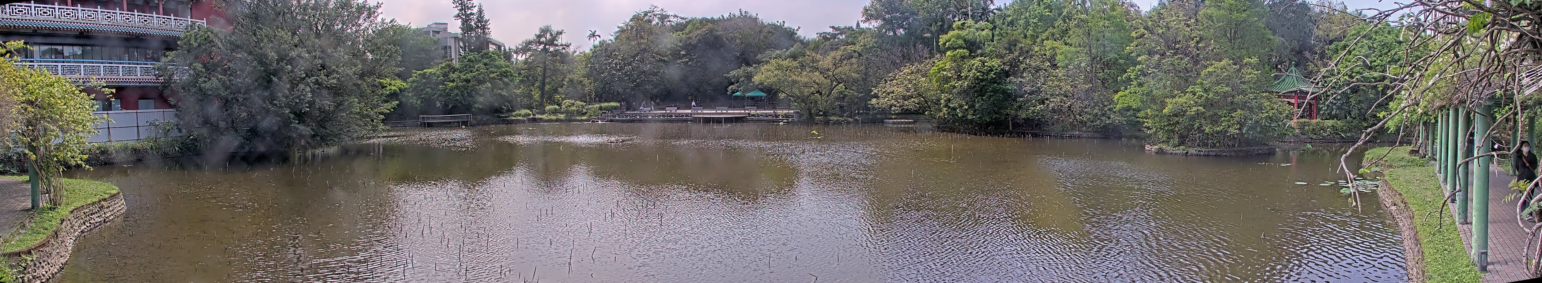 拍照日期:2023-04-10 時間:13時