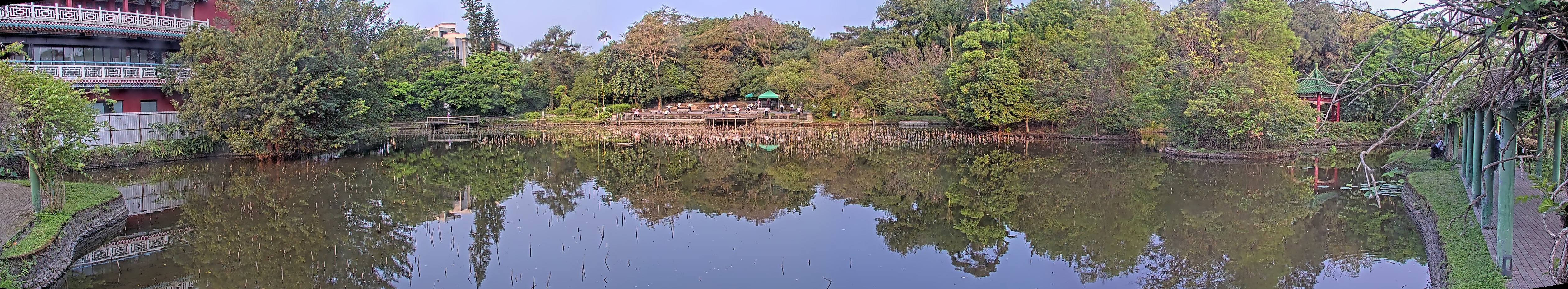 拍照日期:2023-04-12 時間:6時