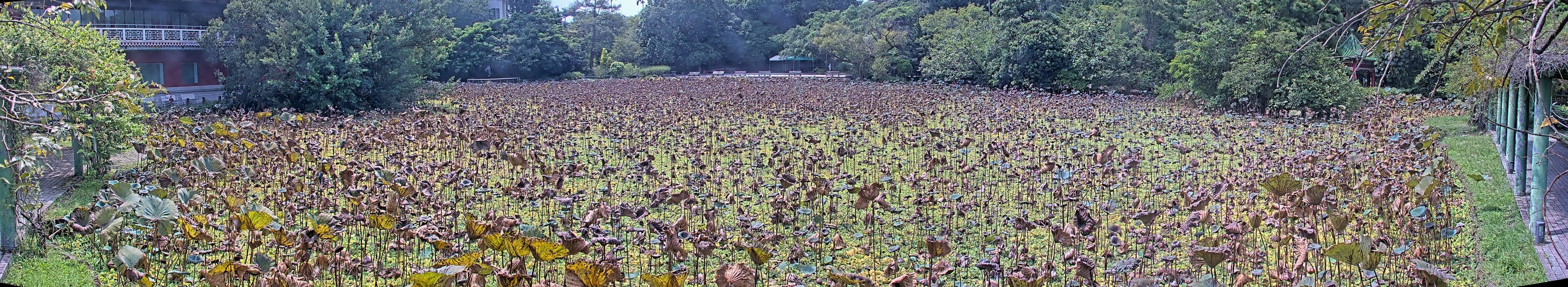 拍照日期:2024-09-11 時間:12時