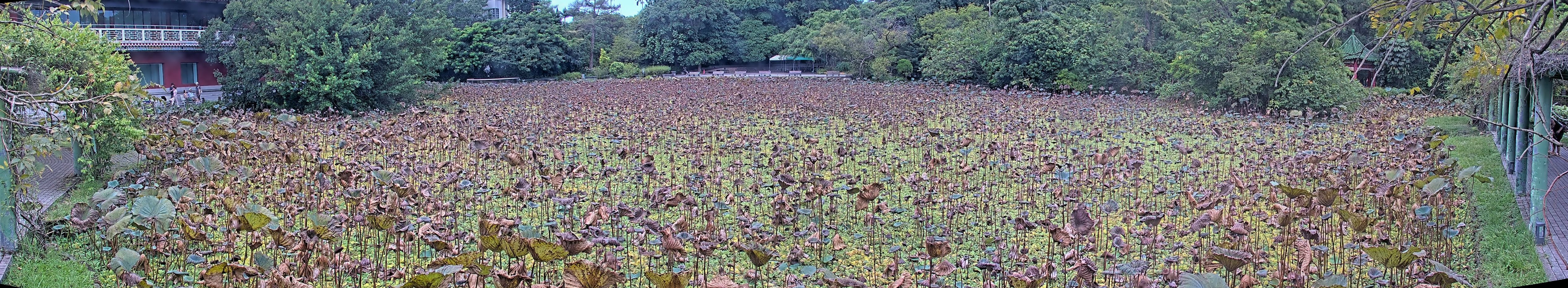 拍照日期:2024-09-12 時間:9時