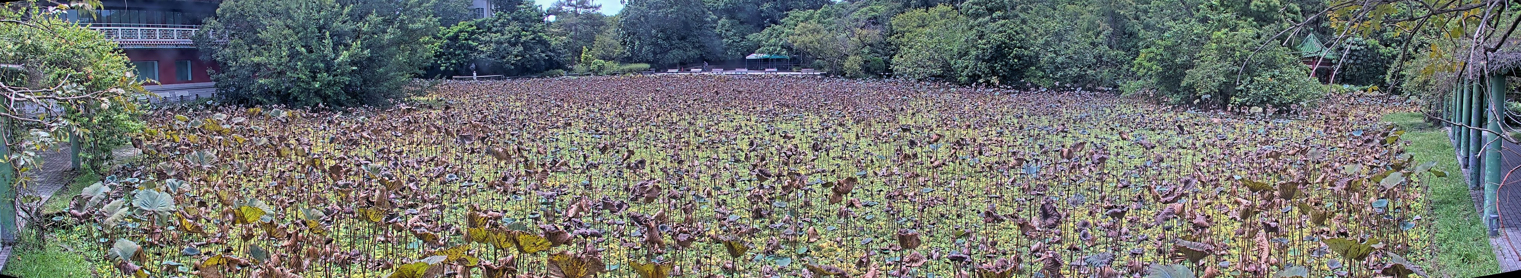 拍照日期:2024-09-12 時間:11時