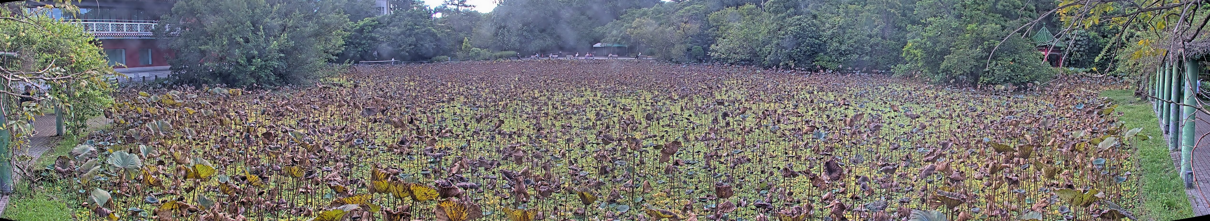 拍照日期:2024-09-12 時間:15時