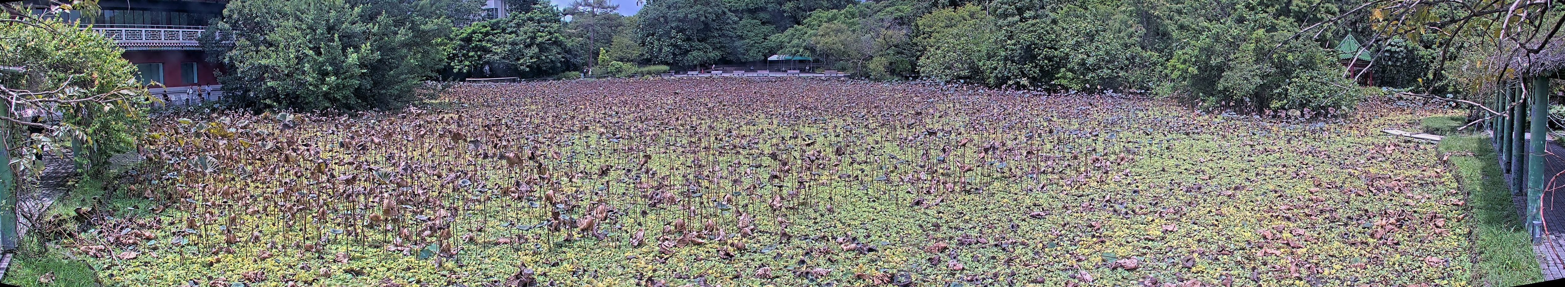 拍照日期:2024-09-14 時間:10時