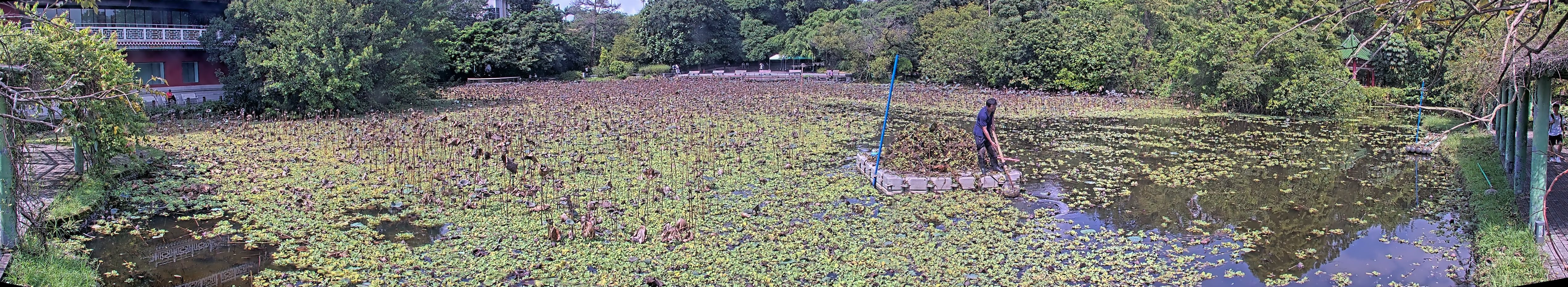 拍照日期:2024-09-20 時間:9時