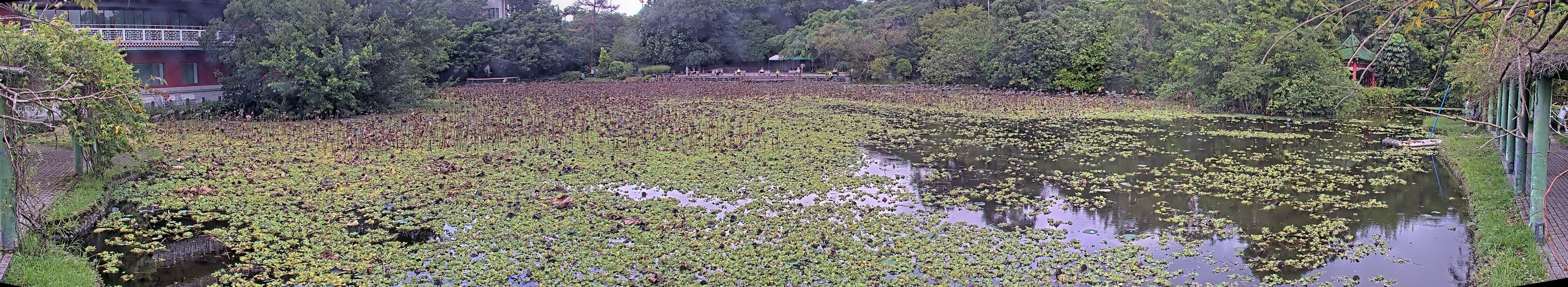 拍照日期:2024-09-21 時間:7時