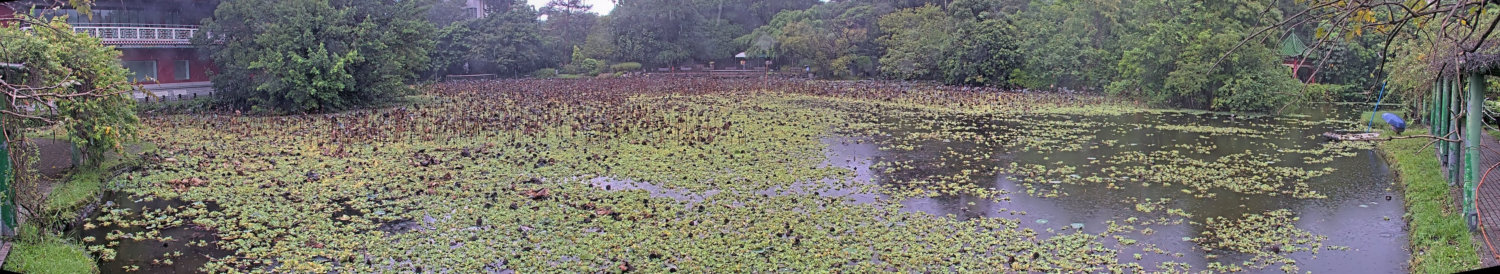 拍照日期:2024-09-21 時間:8時