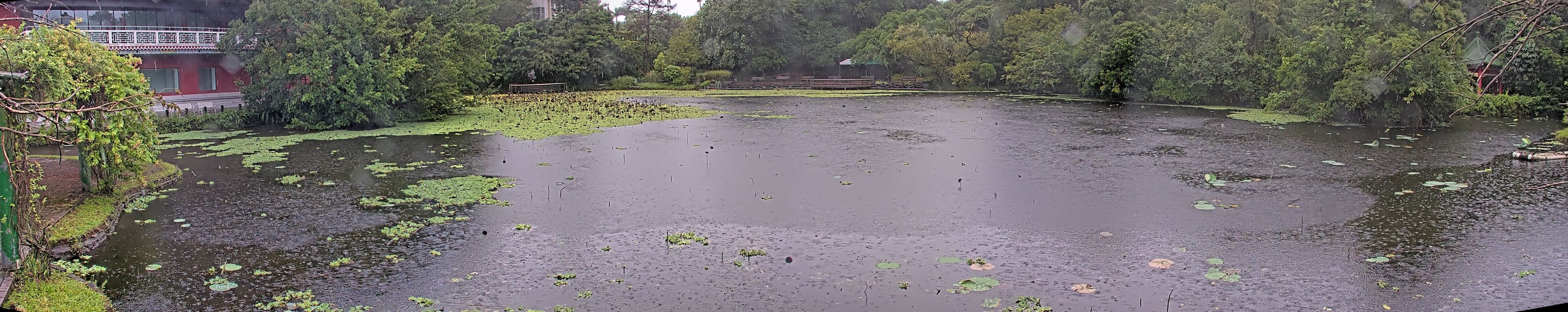 拍照日期:2024-10-03 時間:9時