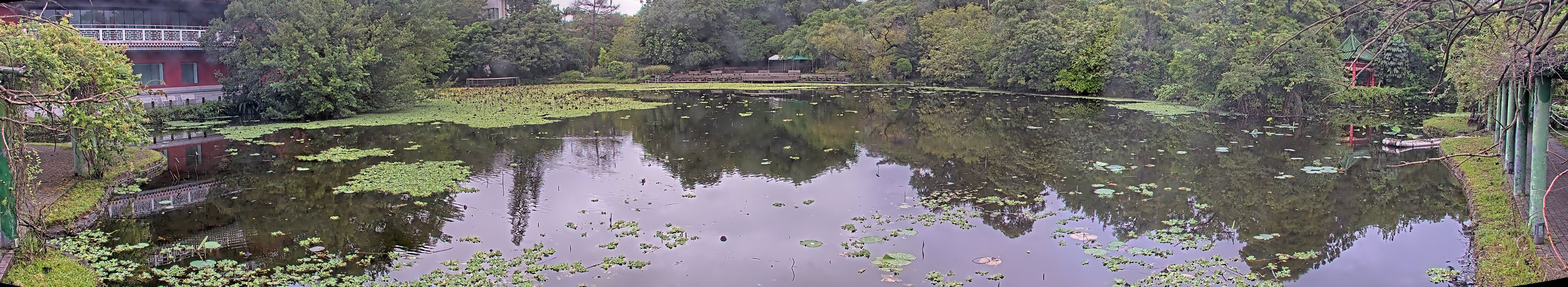 拍照日期:2024-10-04 時間:7時