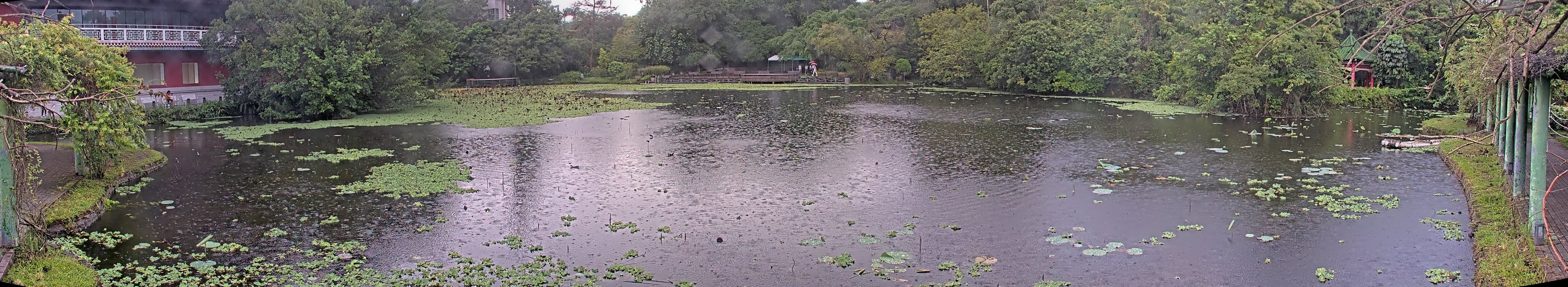 拍照日期:2024-10-04 時間:16時