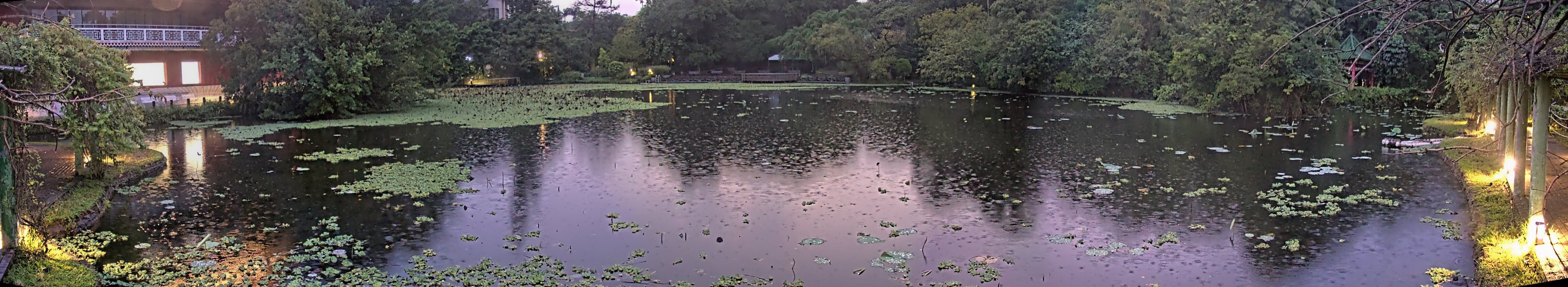 拍照日期:2024-10-04 時間:17時