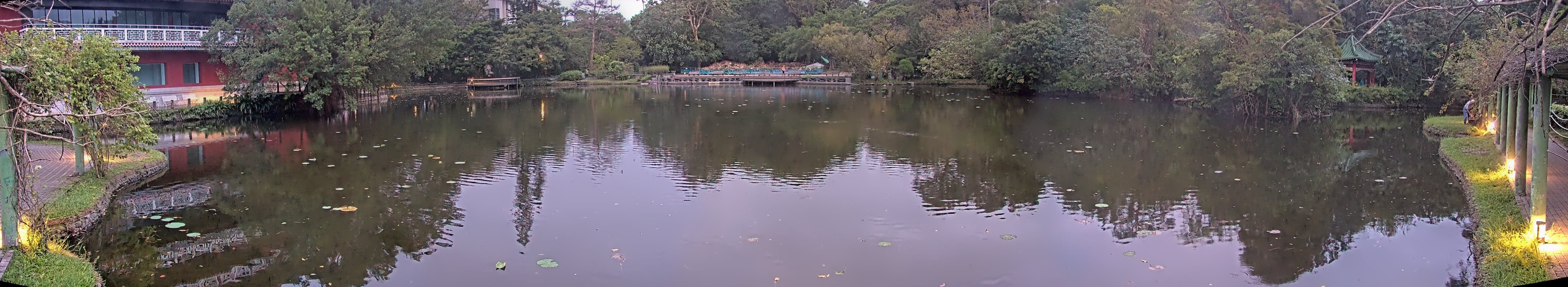 拍照日期：2024-11-11 時間：5時