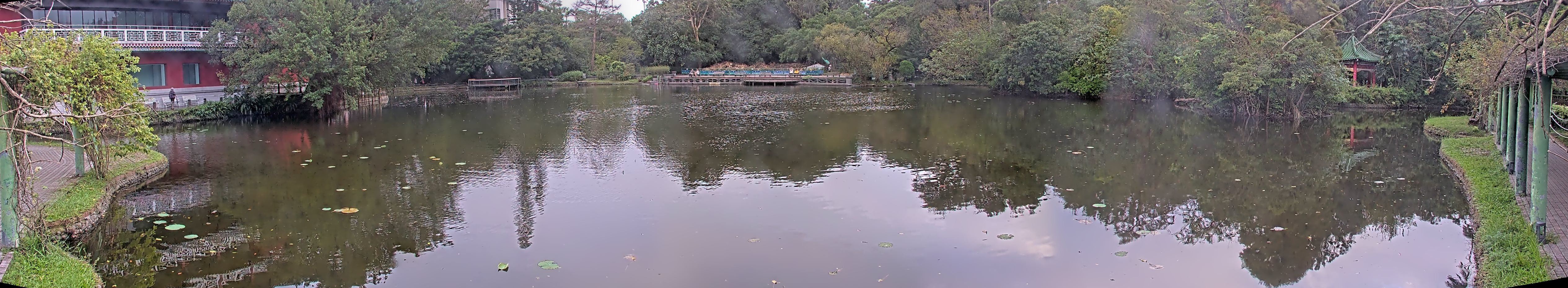 拍照日期：2024-11-11 時間：6時