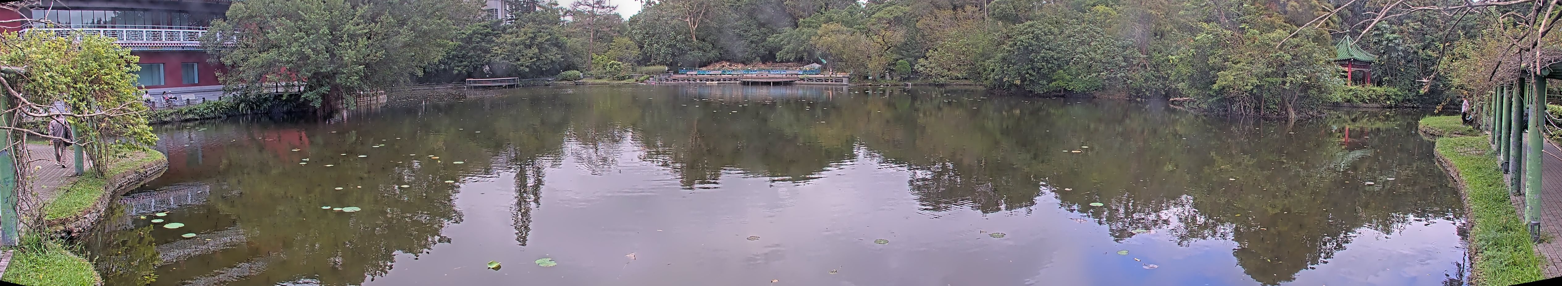 拍照日期：2024-11-11 時間：9時