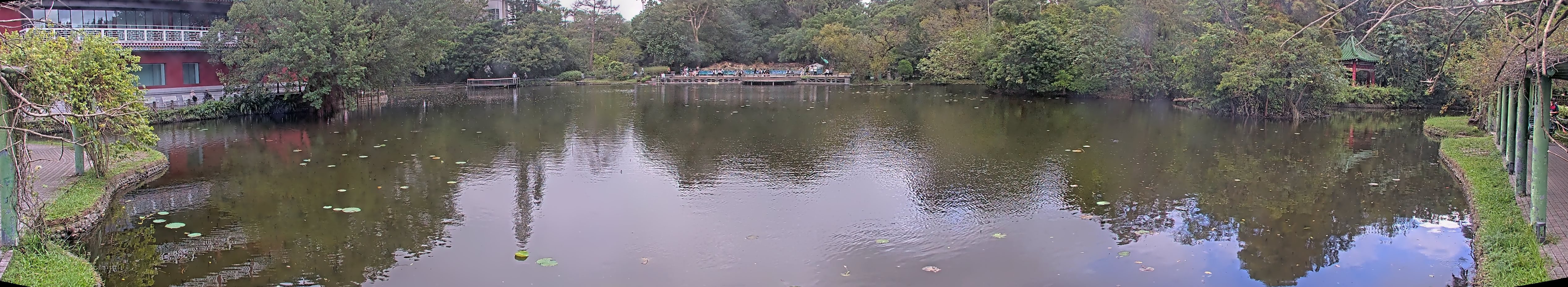 拍照日期：2024-11-11 時間：10時