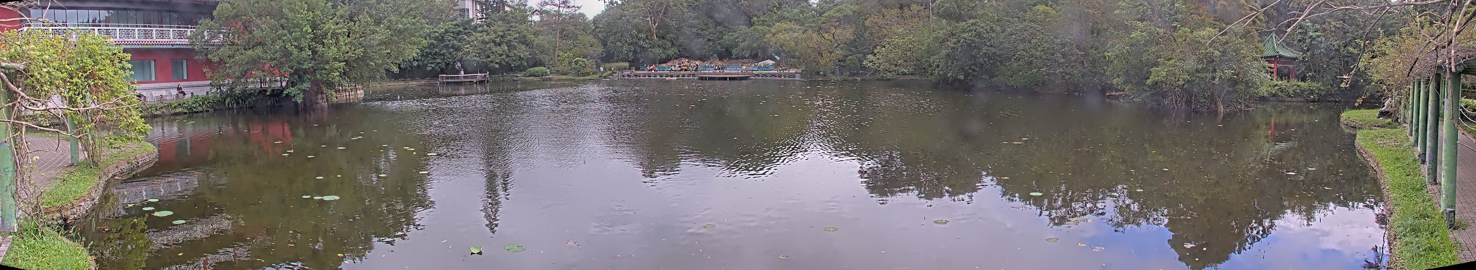 拍照日期：2024-11-11 時間：11時