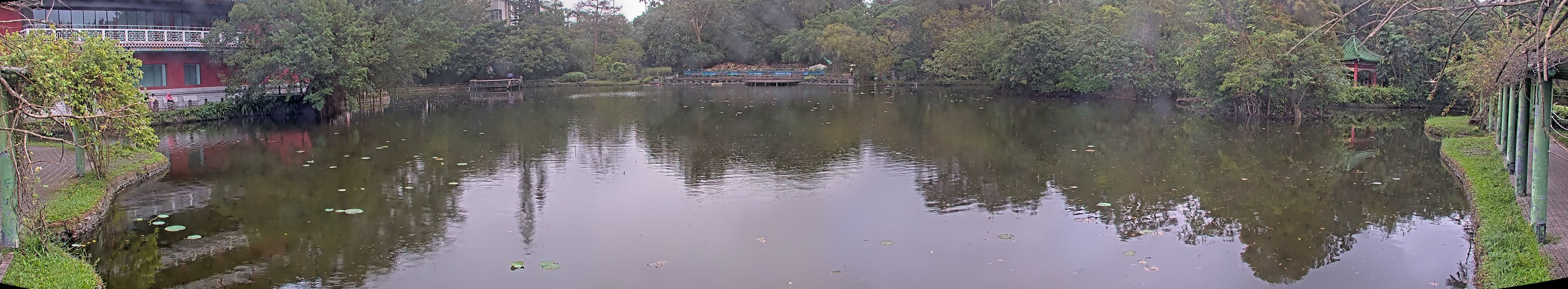 拍照日期：2024-11-11 時間：12時