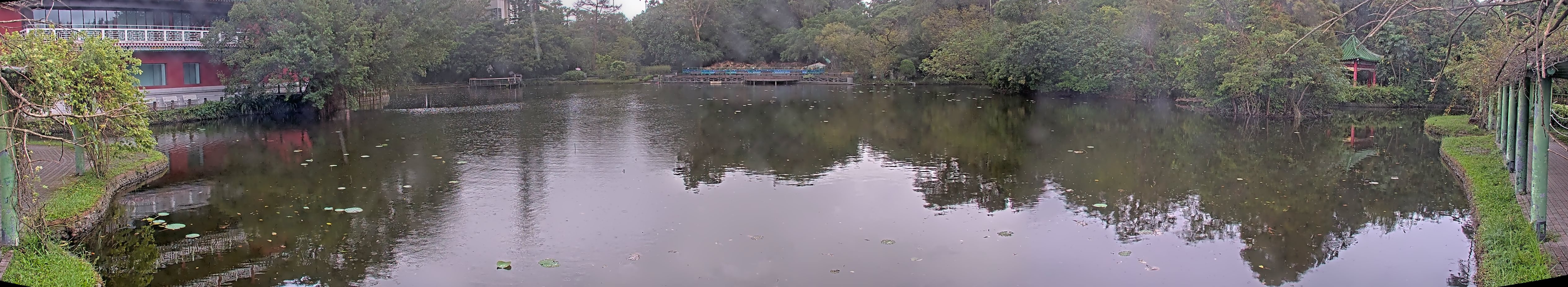 拍照日期：2024-11-11 時間：13時