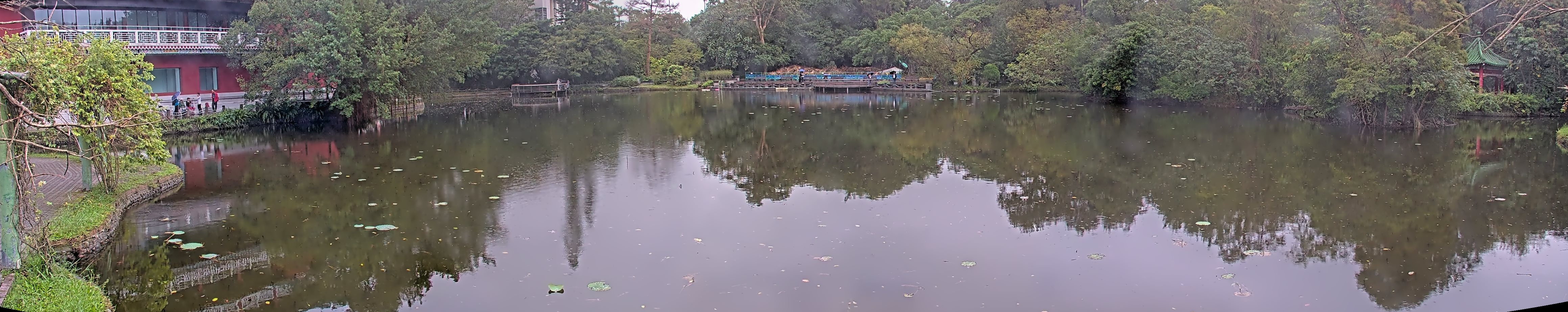 拍照日期：2024-11-11 時間：14時