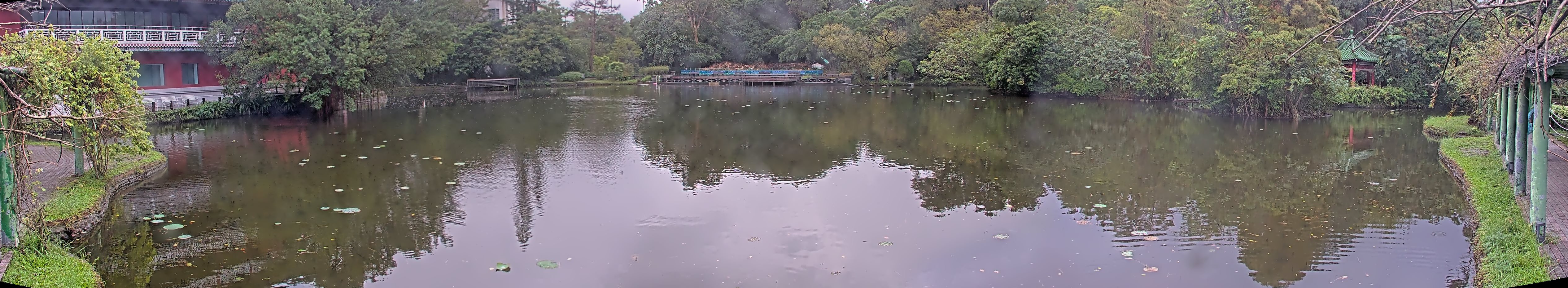 拍照日期：2024-11-11 時間：15時