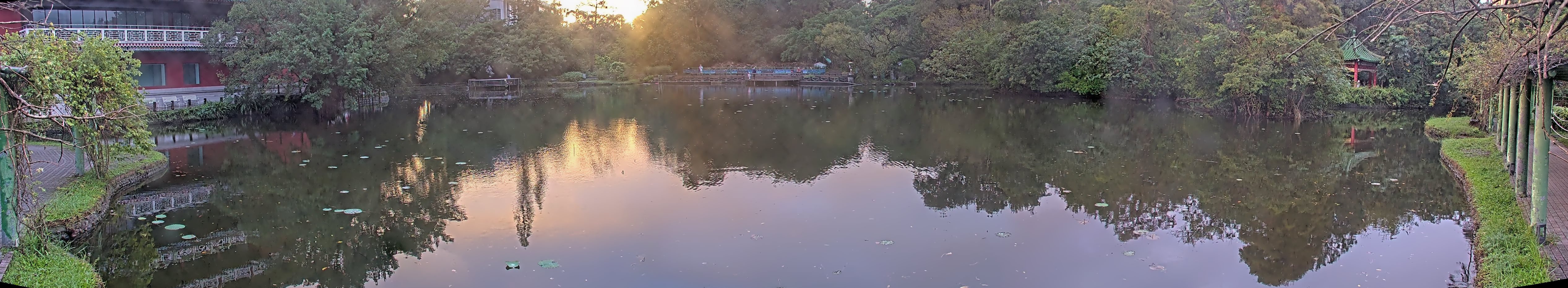 拍照日期：2024-11-11 時間：16時