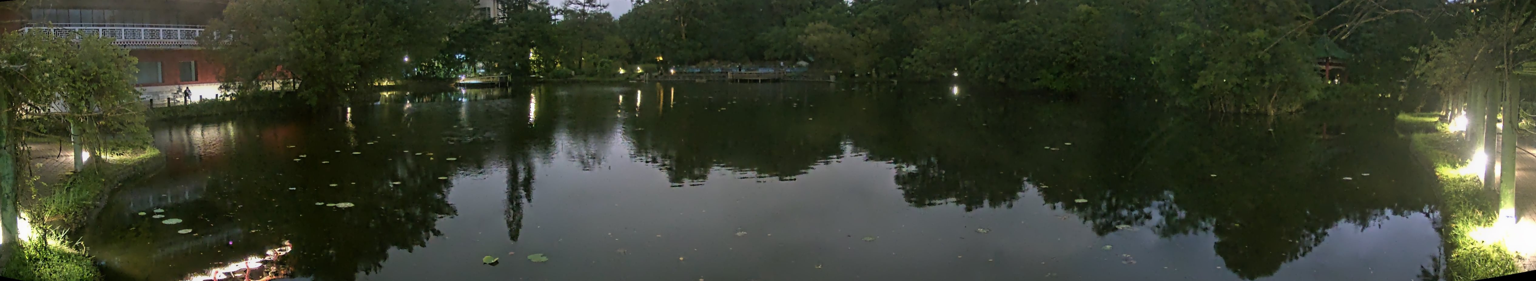 拍照日期：2024-11-11 時間：17時