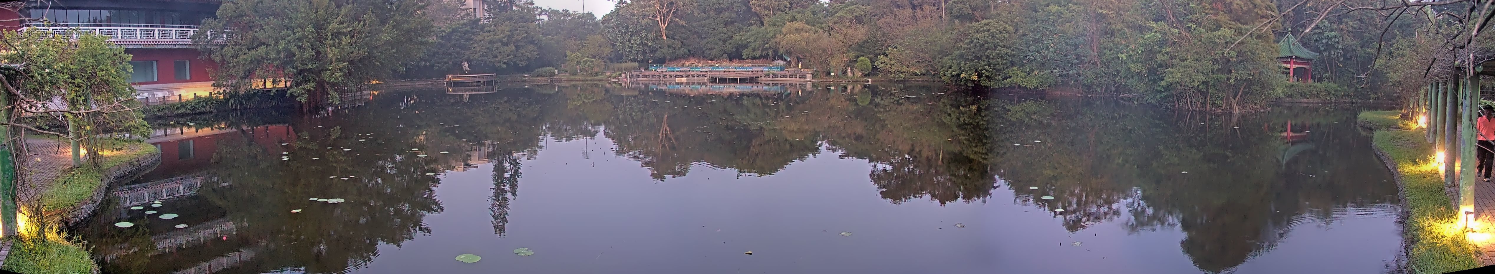 拍照日期:2024-11-15 時間:5時