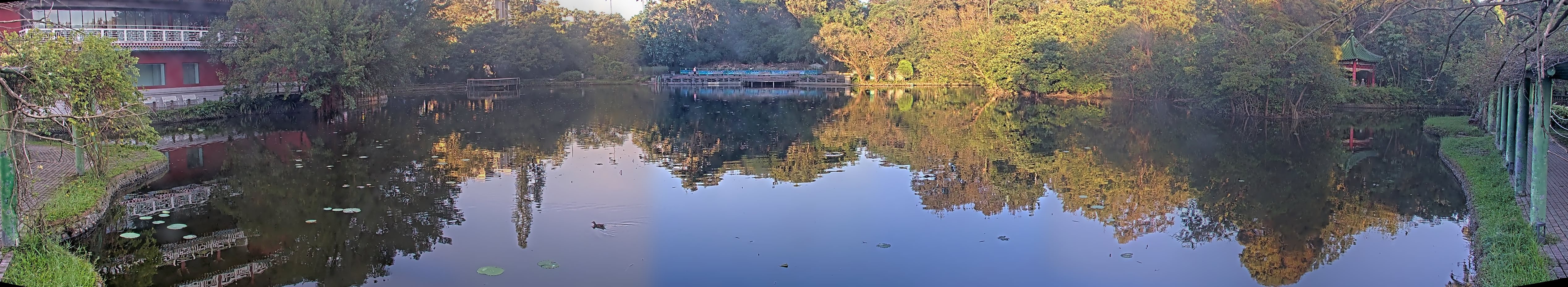 拍照日期:2024-11-15 時間:6時