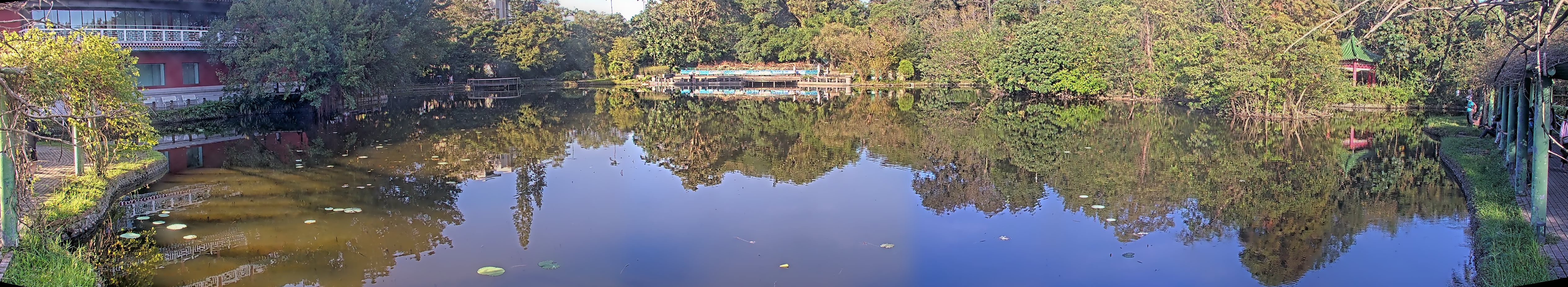 拍照日期:2024-11-15 時間:7時