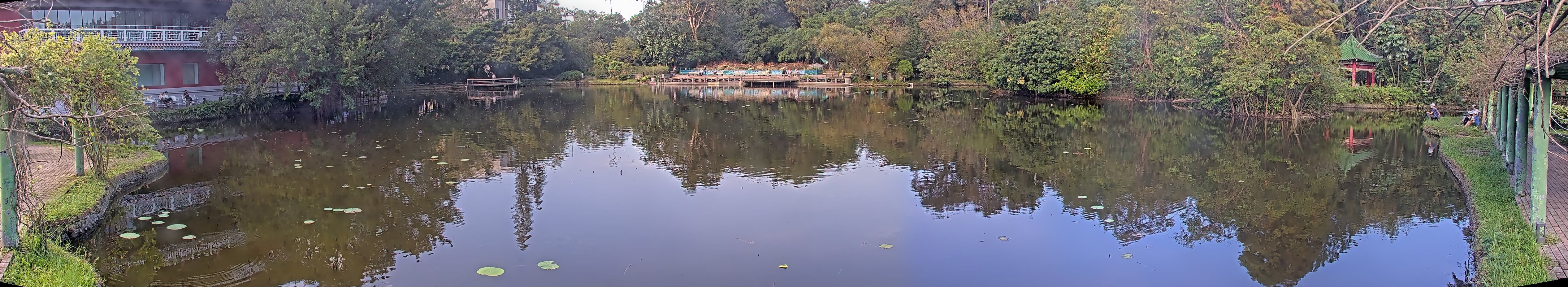 拍照日期:2024-11-15 時間:8時