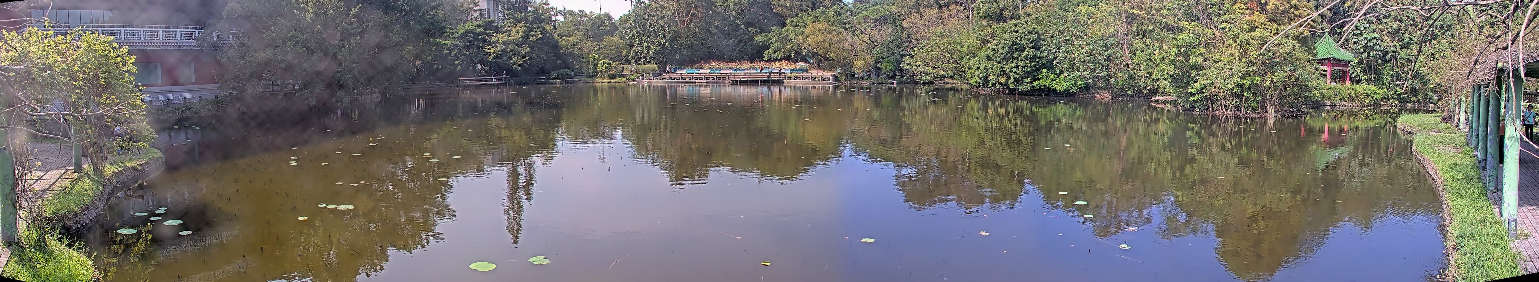 拍照日期:2024-11-15 時間:10時