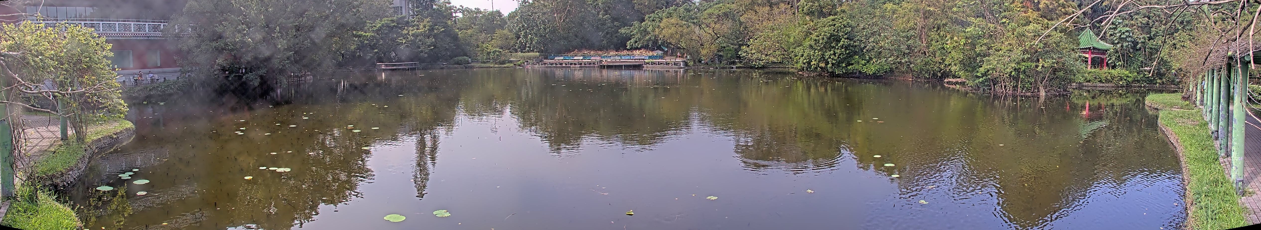 拍照日期:2024-11-15 時間:11時